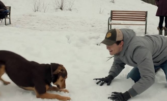 A Dog’s Way những khoảnh khắc ngọt ngào và vui nhộn giữa cô cún Bella và cậu chủ Lucas