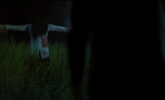 'Bắc Kim Thang' hé lộ thêm thông tin trong đoạn trailer