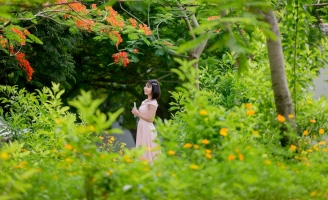 Ca sĩ Lê Mỹ Châu tung MV “Phượng buồn” với một trời kỷ niệm tuổi trẻ