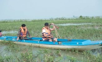 Cái kết không ngờ khi 