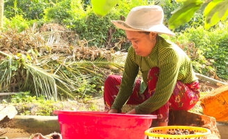 Cùng hoàn cảnh phải bỏ học từ sớm, hai cậu bé một làm lụng mưu sinh để nuôi mẹ bị bệnh