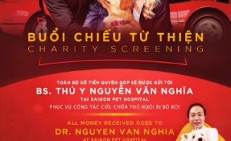 ‘Cuộc đời phi thường của chú chó Enzo’ được chọn là chim chiếu gây quỹ