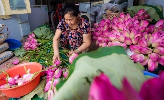 Đại gia Hà Nội tìm mua 'đệ nhất trà' đắt nhất Việt Nam giá 10 triệu đồng/kg