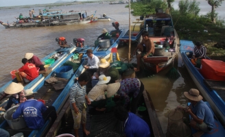 Hạn chế lưu thông trên 2 tuyến kênh ở ĐBSCL