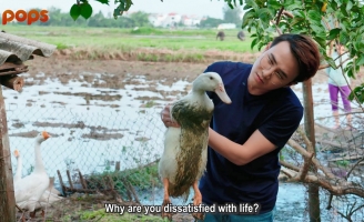Huỳnh Lập thử thách cưỡi trâu và danh ca Long Nhật
