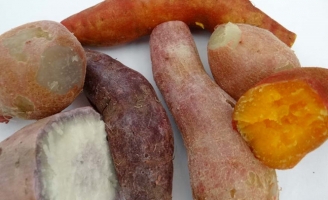 Lợi ích sức khỏe từ khoai lang