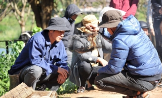 Lý Hải bất ngờ lộ mặt trong phim mới Lật Mặt 4