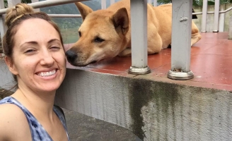 Người phụ nữ Mỹ hứa thưởng 50 triệu cho ai tìm được chú chó mất tích