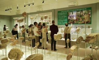Nhiều cung bậc cảm xúc tại Triển lãm Hóa thạch Huế 2022