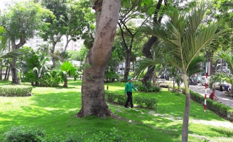            Ở nơi bình yên chim hót