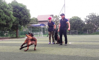 Võ sư karate mở trường dạy chó